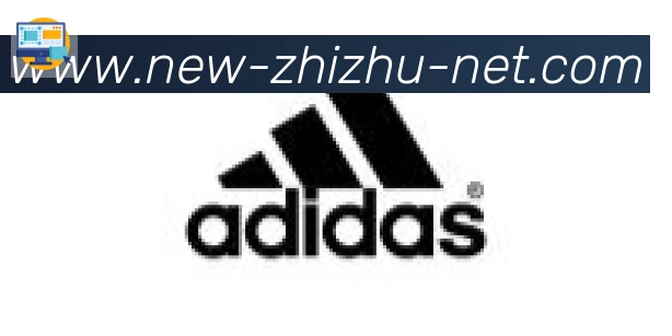 蜘蛛直播合作伙伴